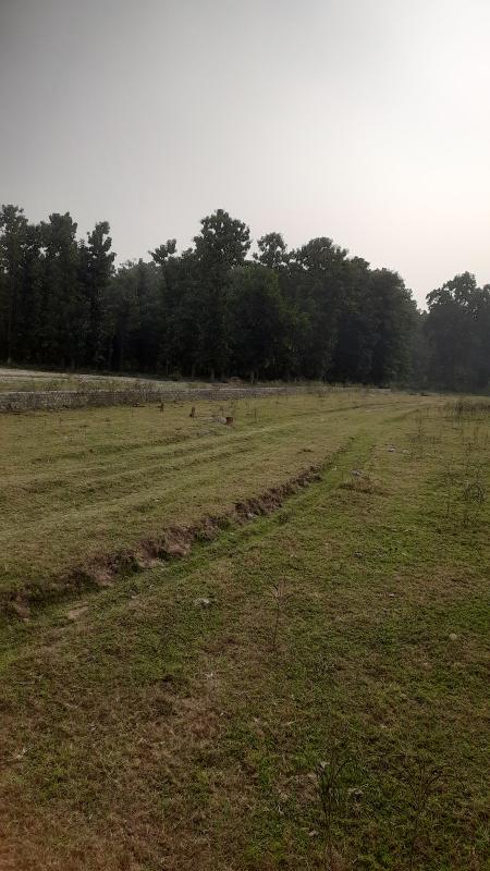 Pondha, Dehradun photo 2