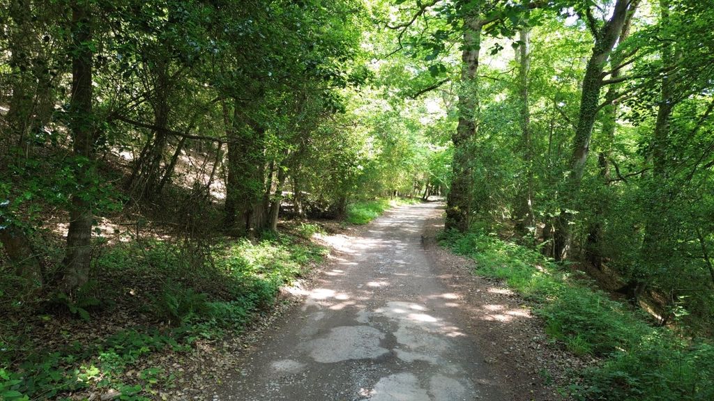 Additional image 18 of Land for saleHolford, Bridgwater, Somerset TA5