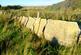 Additional image 13 of Balgair Wood (just under 36 acres), Olgrinmore, Scotscalder, Caithness KW12