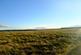 Additional image 28 of Balgair Wood (just under 36 acres), Olgrinmore, Scotscalder, Caithness KW12