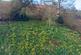 Additional image 52 of Penstrowed, Newtown, Powys, SY16