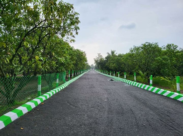 Additional image 2 of Tindivanam, Chennai