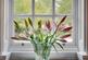 Additional image 8 of Wolverley Village, Wolverley, DY11