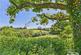 Additional image 41 of Trebles Holford, Bishops Lydeard