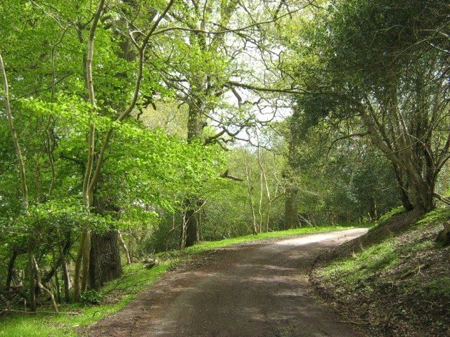 Additional image 2 of Land for saleHolford, Bridgwater, Somerset TA5