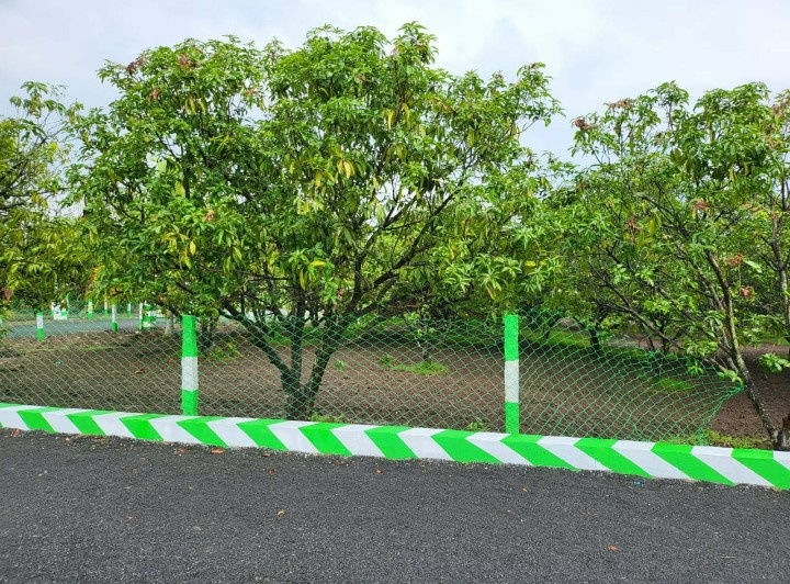 Additional image 3 of Tindivanam, Chennai