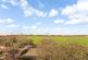 Cheddington photo 3