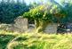 Additional image 20 of Balgair Wood (just under 36 acres), Olgrinmore, Scotscalder, Caithness KW12
