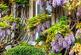 Additional image 4 of Bathford Hill, Bathford, Bath, BA1