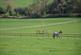 Additional image 20 of Teffont Magna, Salisbury, Wiltshire, SP3