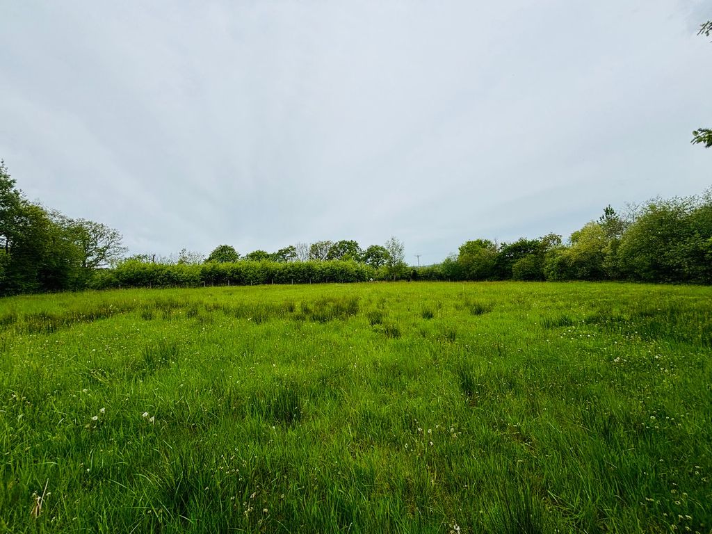 Additional image 21 of 3 bed farm for saleLlangeitho, Tregaron SY25