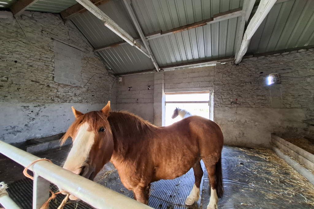 Additional image 2 of 3 bed equestrian for saleBryn Dafydd Isaf, Esgardawe, Llandeilo SA19