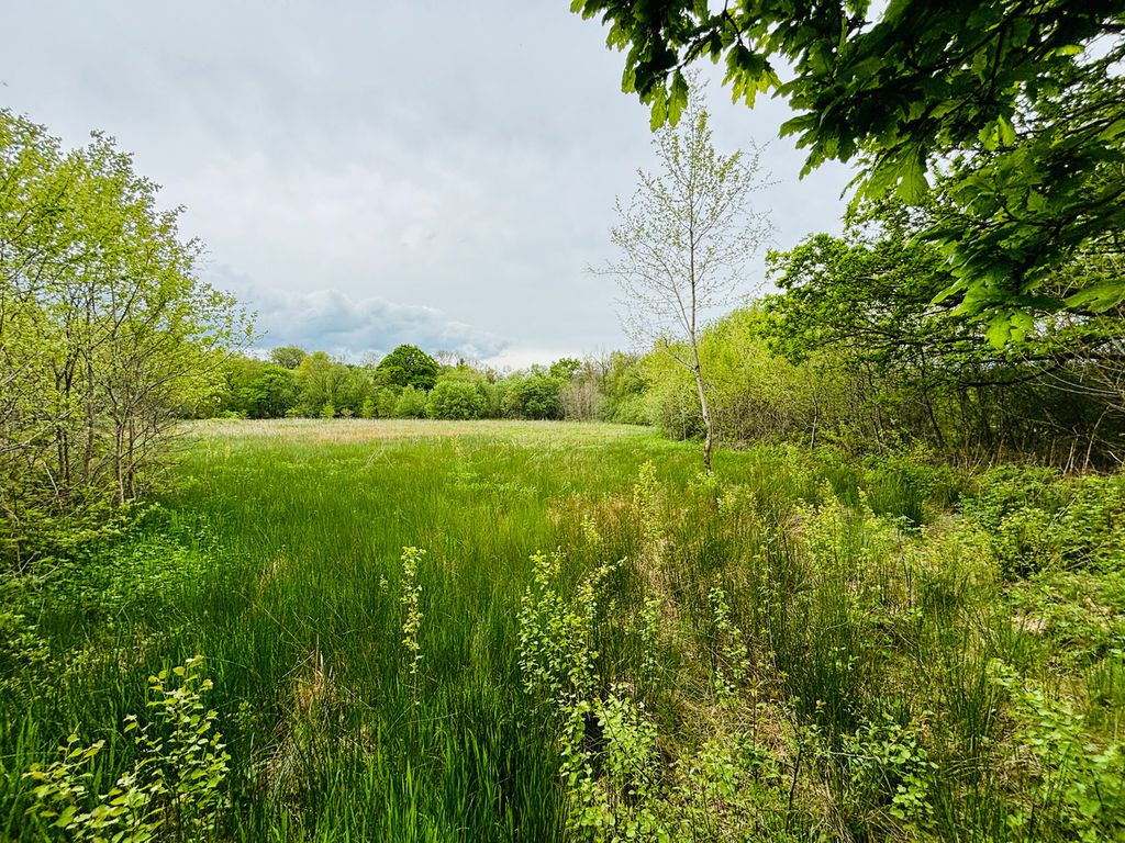 Additional image 23 of 3 bed farm for saleLlangeitho, Tregaron SY25