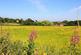 Bramley Park, Marsh Lane, Sheffield, Derbyshire, S21 photo 4