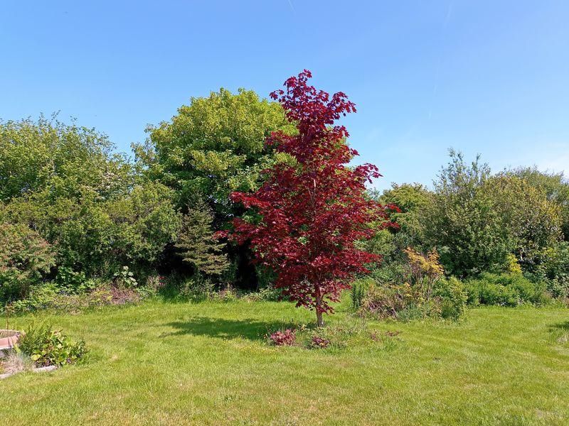 Additional image 21 of 3 bed property for salePantybwlch, Newcastle Emlyn, Carmarthenshire SA38