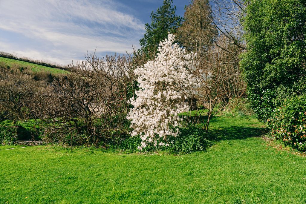 Additional image 28 of 9 bed detached house for saleSt. Veep, Lostwithiel, Cornwall PL22