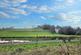 Additional image 23 of Badgers Wood, Haverbreaks  | A home with development potential