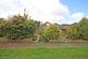 Additional image 11 of Uplands Avenue, Barton on Sea, New Milton, Hampshire, BH25