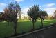 Additional image 13 of Martello Court, Jevington Gardens, BN21 4SD