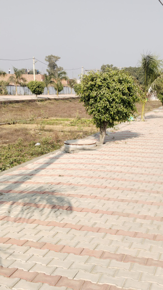 Rohta Road, Meerut photo 2