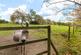Additional image 19 of Thicket Road, Houghton, Huntingdon