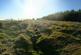 Additional image 15 of Balgair Wood (just under 36 acres), Olgrinmore, Scotscalder, Caithness KW12