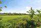 Additional image 18 of Kitchen Hill, Bulmer, Sudbury, Essex, CO10