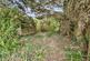 Additional image 11 of Elm Road, Earley, Wokingham