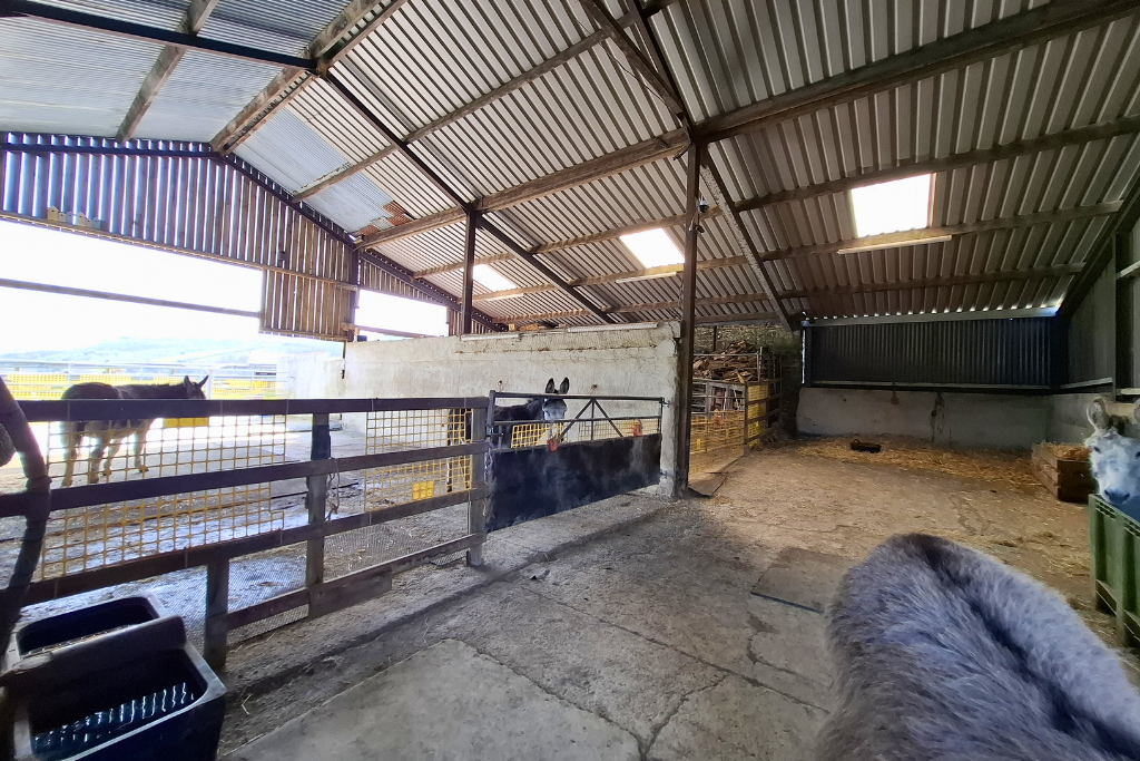 Additional image 17 of 3 bed equestrian for saleBryn Dafydd Isaf, Esgardawe, Llandeilo SA19