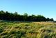 Additional image 16 of Balgair Wood (just under 36 acres), Olgrinmore, Scotscalder, Caithness KW12