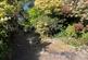 Sandiford Crescent, Newport photo 3