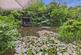 Cwmfelin Boeth - 1.75 Acre Wooded Plot photo 3