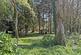 Killiow, Kea, Nr. Truro, Cornwall photo 2