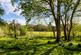 Additional image 7 of Lower Gustard Wood, Wheathampstead