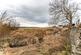 Castletown, Thurso, Highland. KW14 8TY photo 3