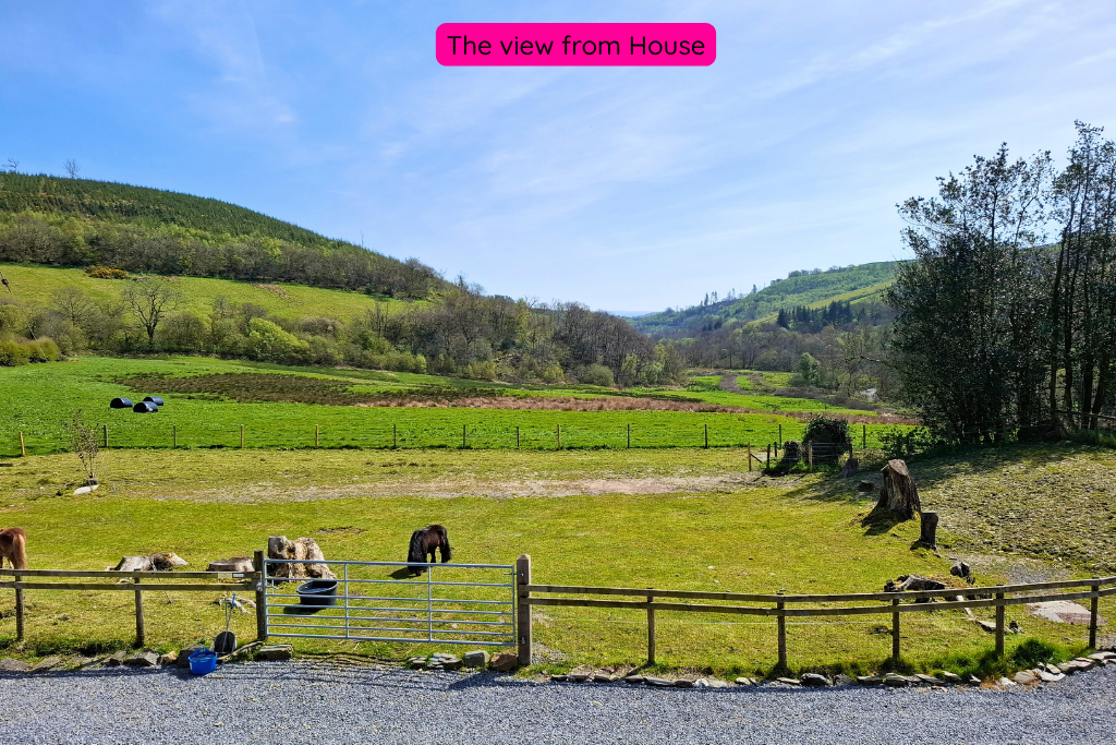 Additional image 4 of 3 bed equestrian for saleBryn Dafydd Isaf, Esgardawe, Llandeilo SA19