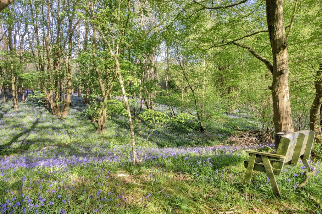 Additional image 23 of 5 bed detached house for saleWitherenden Hill, Burwash, Etchingham, East Sussex TN19