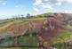 Additional image 50 of Penstrowed, Newtown, Powys, SY16