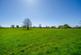 Additional image 29 of Haytons Bent, Ludlow, SY8