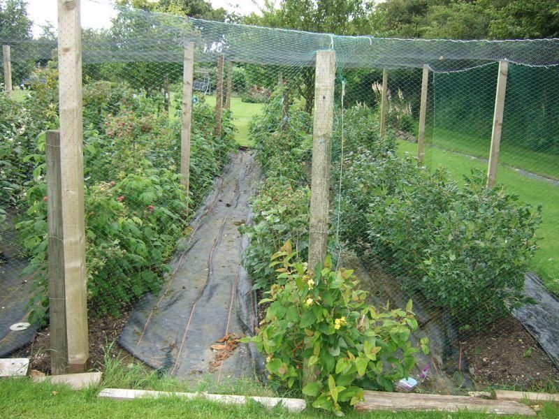 Additional image 41 of 3 bed property for salePantybwlch, Newcastle Emlyn, Carmarthenshire SA38