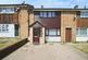 Rectory Wood, Harlow