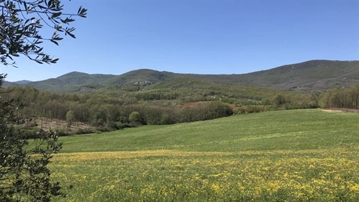Avigliano Umbro (Provincia di Terni)