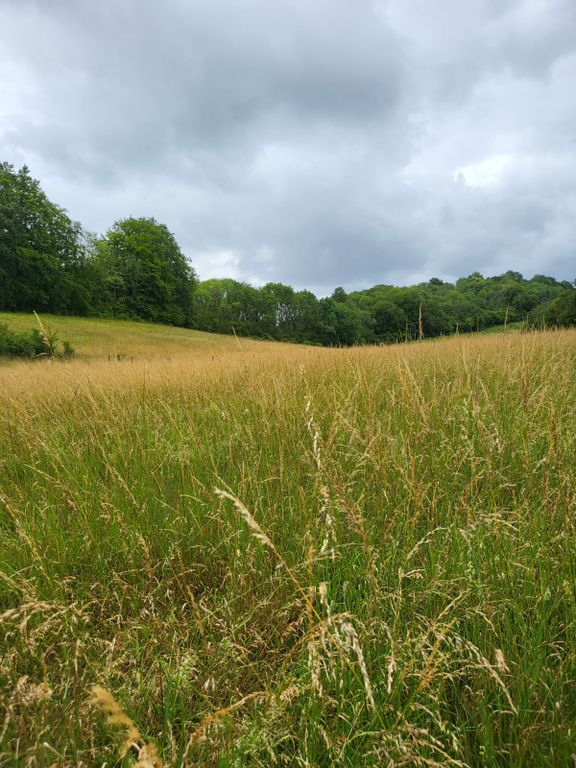 Land for saleBuckhurst Avenue, Sevenoaks TN13