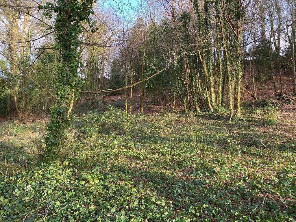 Additional image 2 of Land for saleEaglesbush Valley, Neath, Neath Port Talbot. SA11