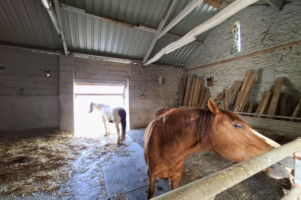 Additional image 11 of 3 bed equestrian for saleBryn Dafydd Isaf, Esgardawe, Llandeilo SA19