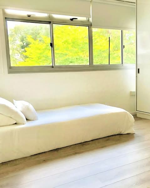18B Holland Drive photo 5