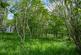 Additional image 17 of Blackmore Park Road, Welland, Malvern, Worcestershire, WR13
