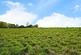 Additional image 15 of St. Marys Close, Snettisham, King's Lynn, Norfolk, PE31