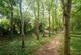 Additional image 6 of Hillrow, Haddenham, CB6