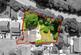 Coppice Close, Cheswick Green, B90 photo 2